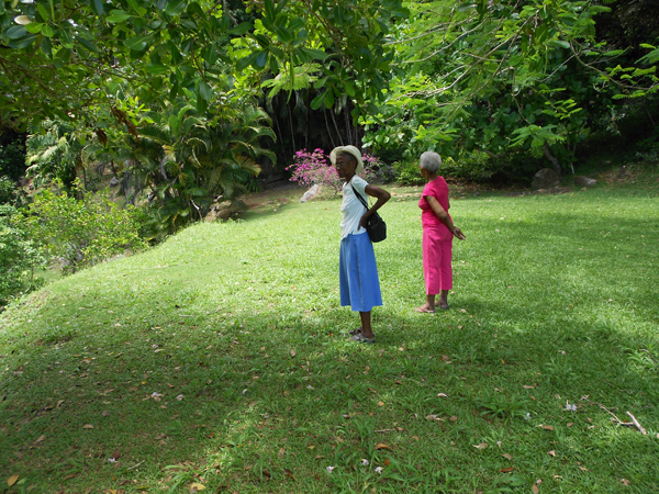 enjoying-the-garden